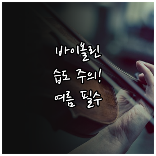 여름철 바이올린 파손 방지 위한 적정..