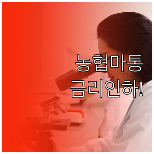 농협은행 마이너스통장 연장 실적 관리..