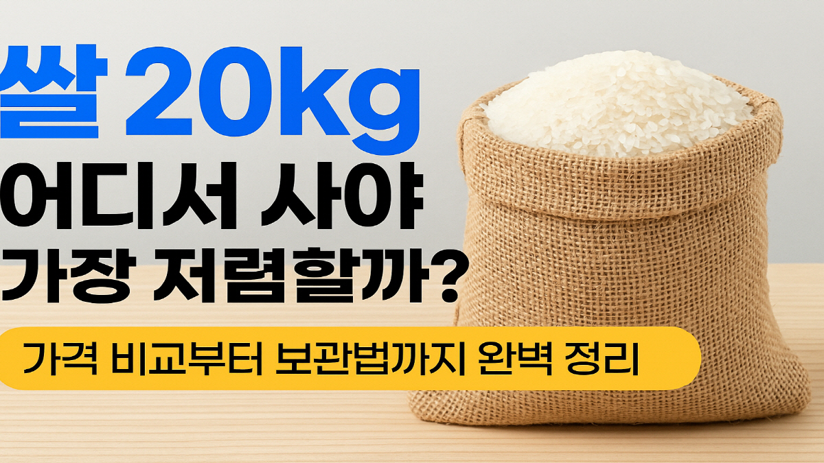 쌀 20kg 어디서 사야 가장 저렴할까? 가격 비교 및 보관법 안내 대표 이미지