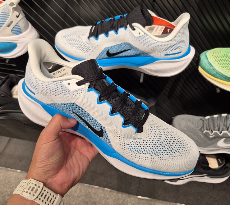 페가수스 41 vs 보메로 18