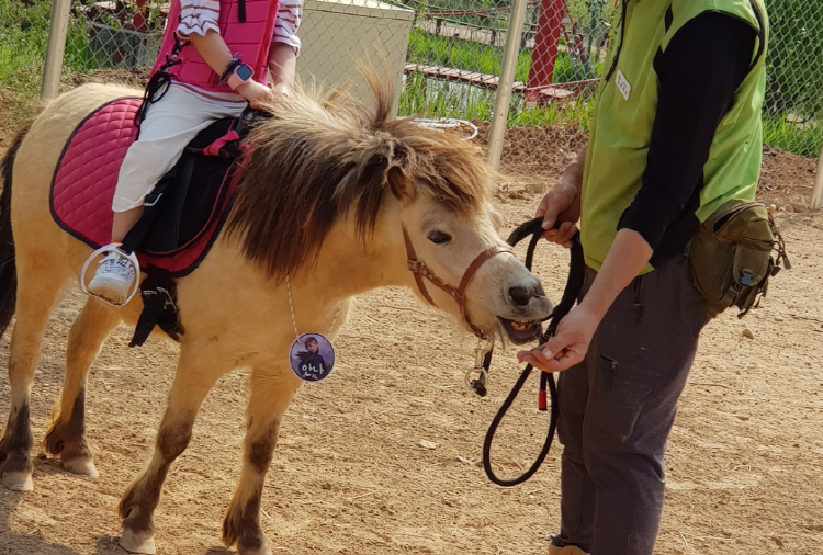 퍼스트가든 별빛축제