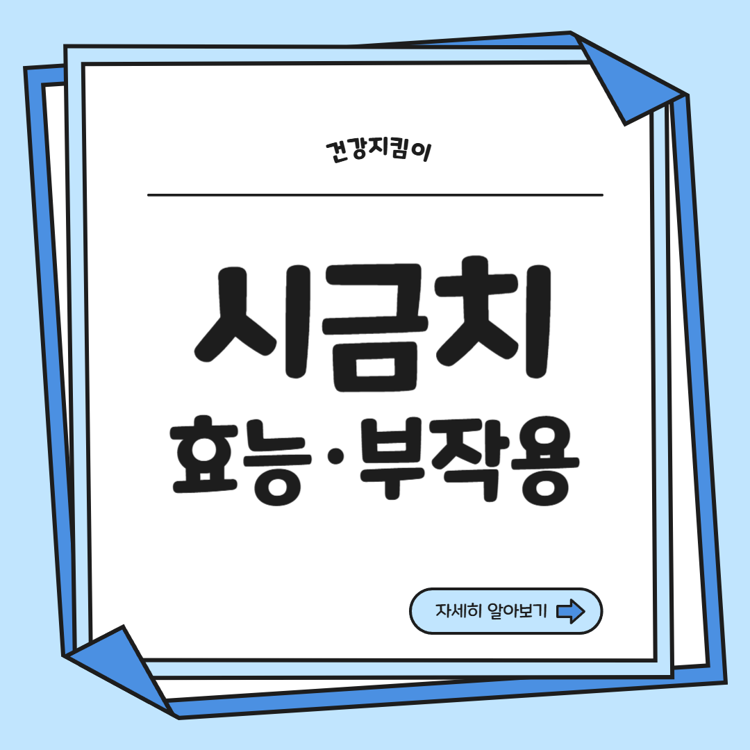 시금치 효능 부작용 고르는법 칼로리