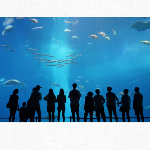 SEA LIFE 실내 관광