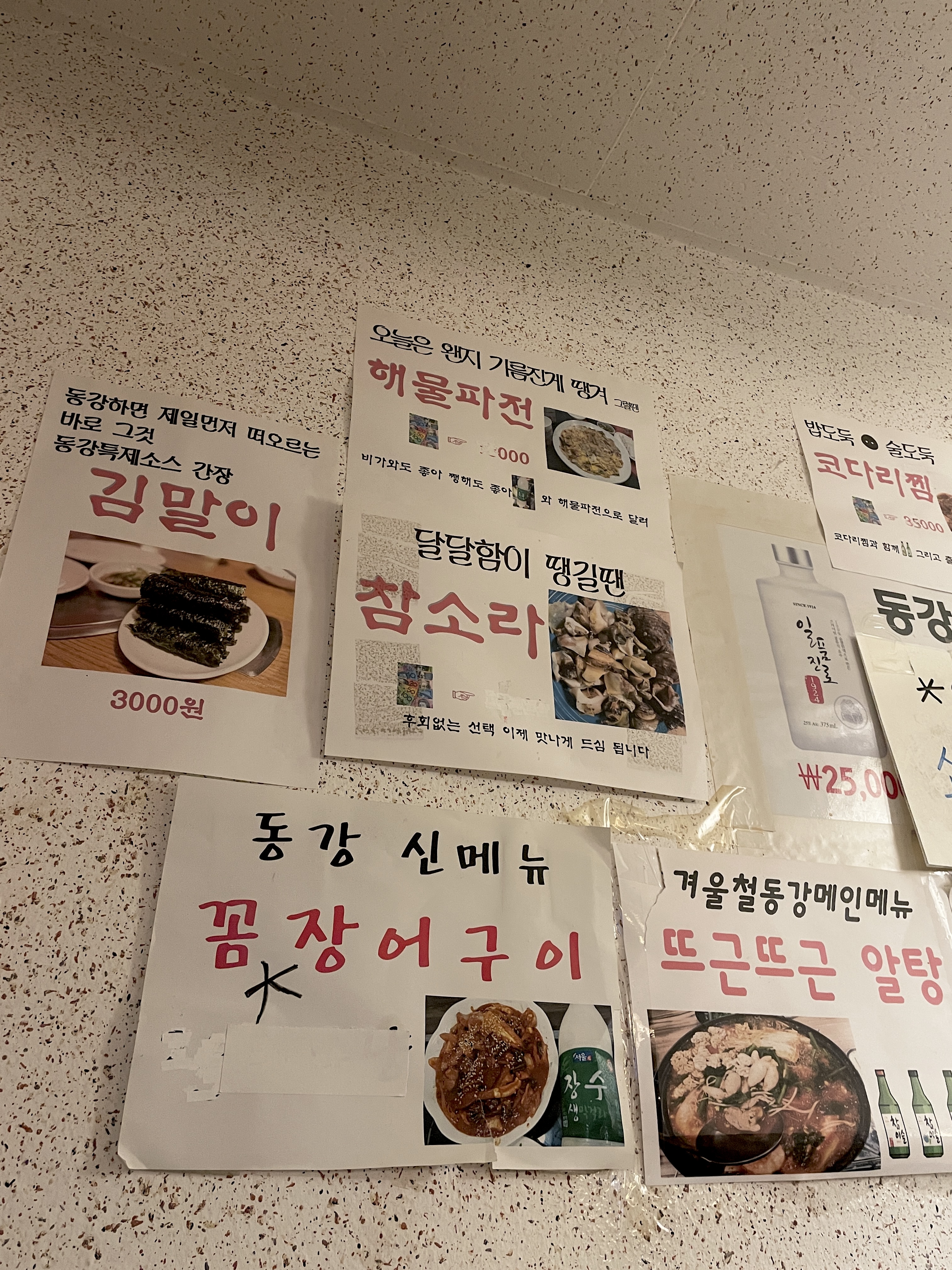 윤남노 셰프 단골 호프 !! 동묘앞 병어찜 맛집 동강주막호프 💰 내돈내산 💰