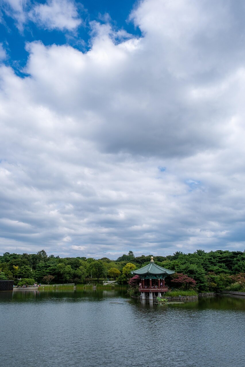 tvN 드라마 금주를 부탁해 드라마 소개 및 출연진 인스타그램 촬영지 OTT정보