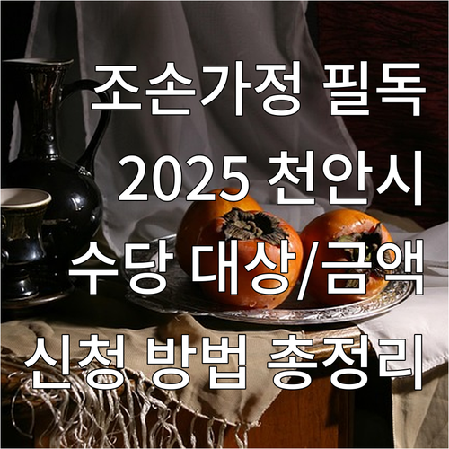 2025년 천안시 조손가정수당: 대상..
