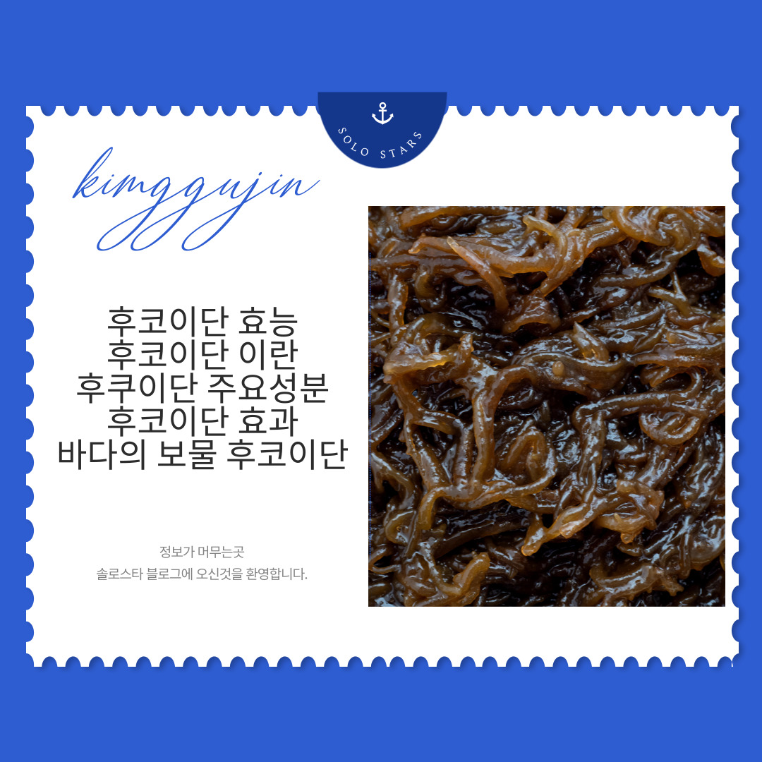 후코이단 원료 사진