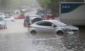 중고차 매매 사이트