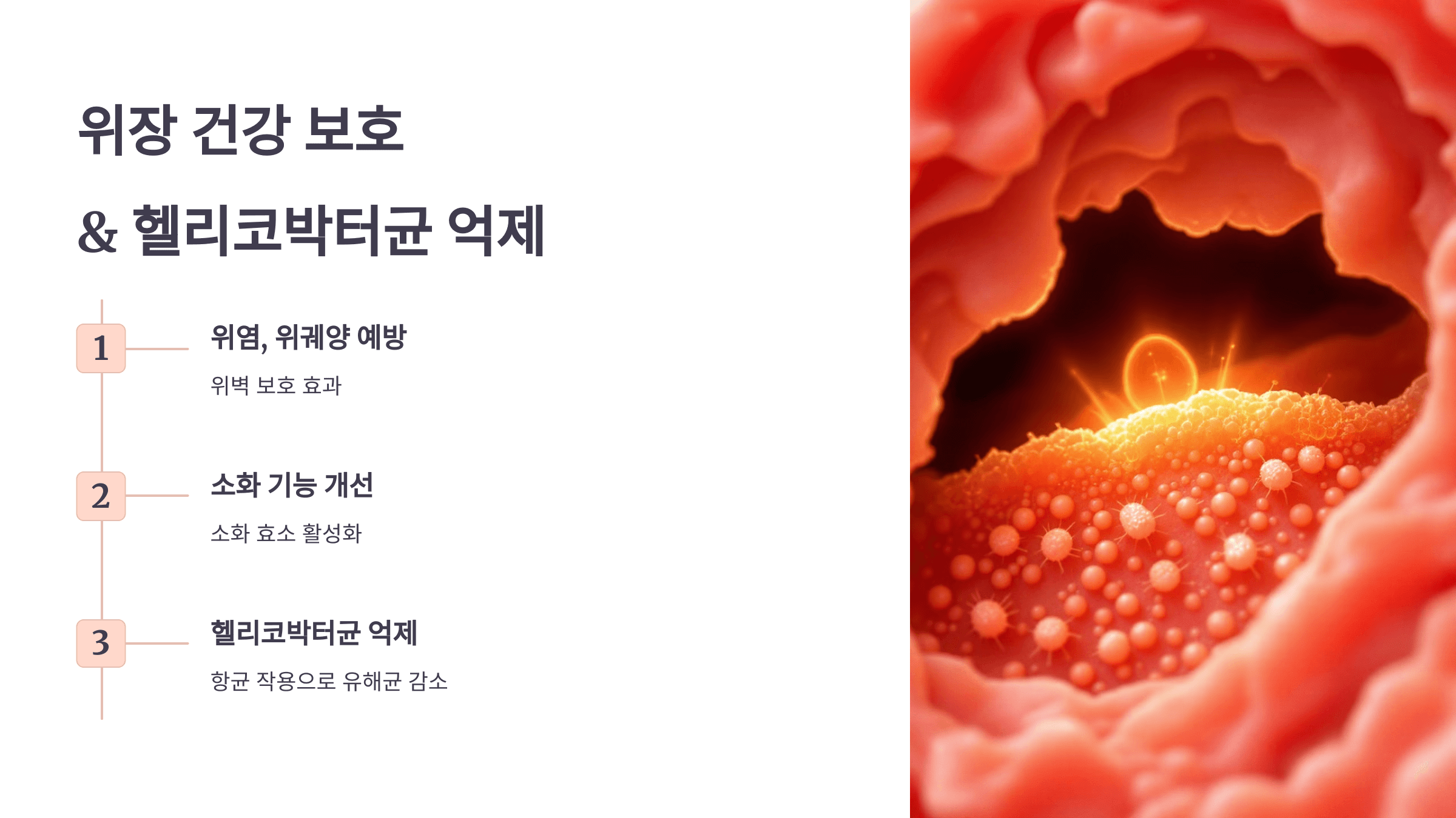 프로폴리스 사진입니다.