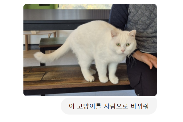 반려동물이 사람으로