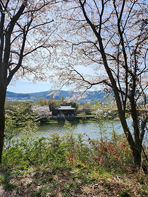 교태전 특별개방 사전예약