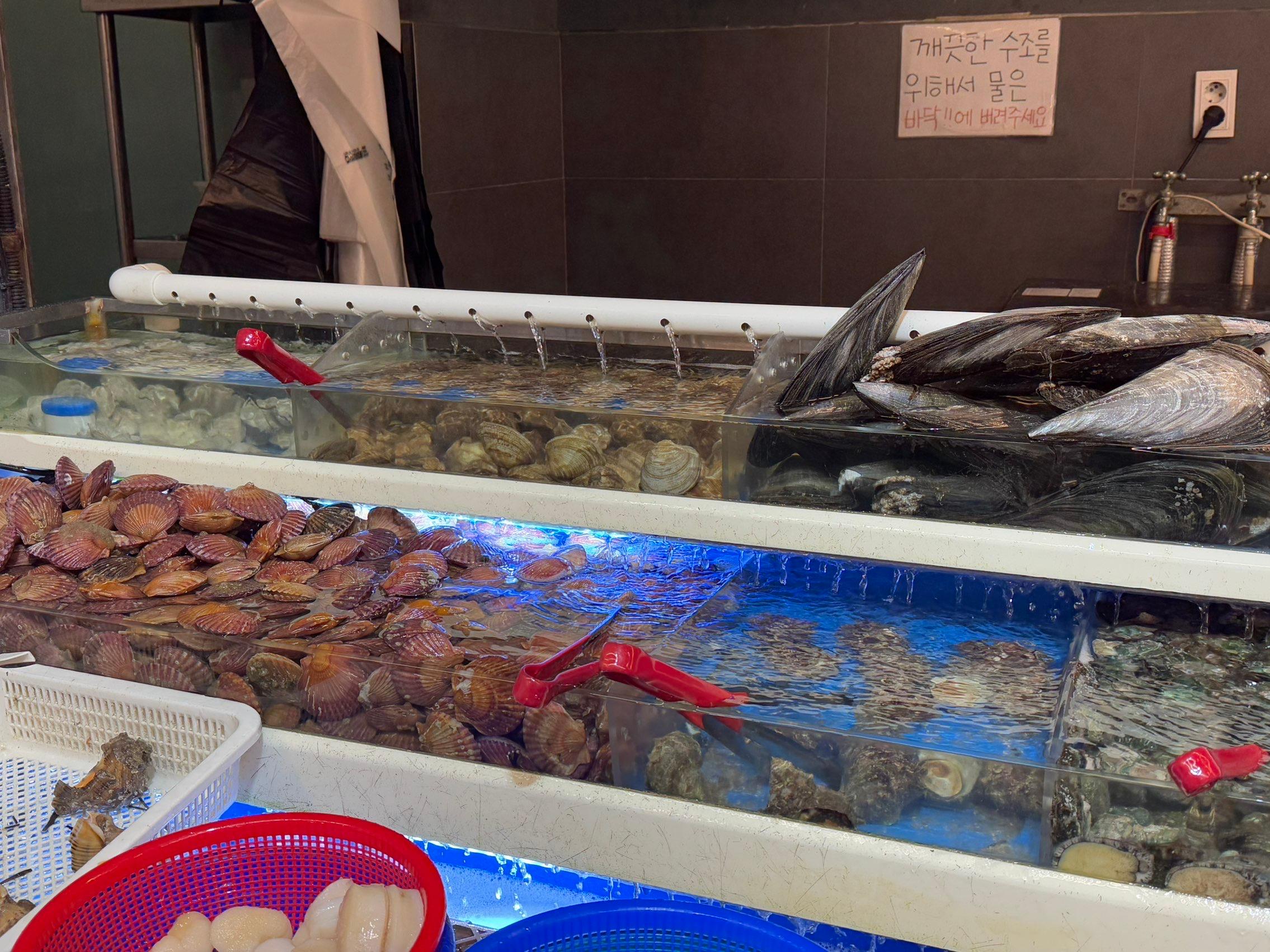 대구 조개 무한리필