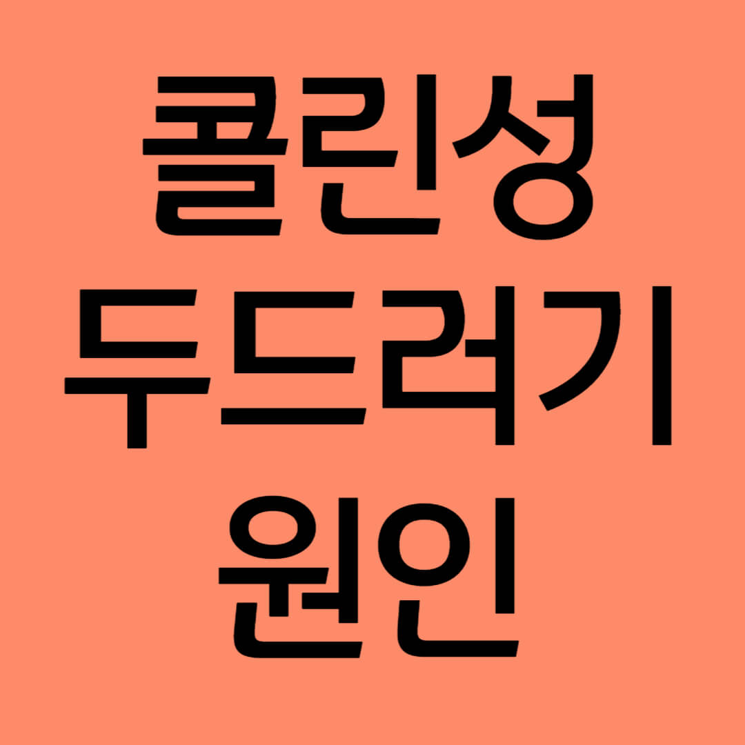 제목