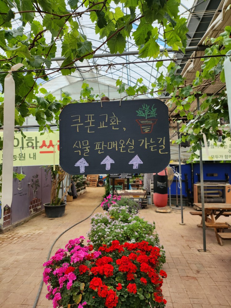 식물 판매 온실 가는 길 표지판