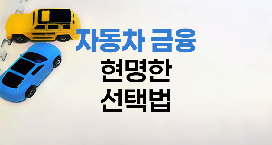 자동차 금융 현명한 선택법