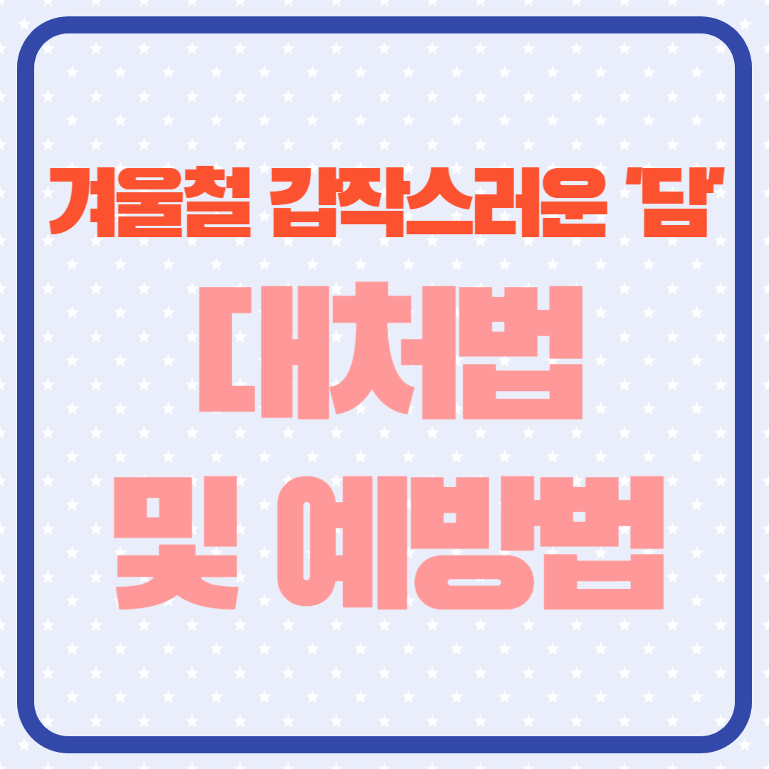 담 대처법