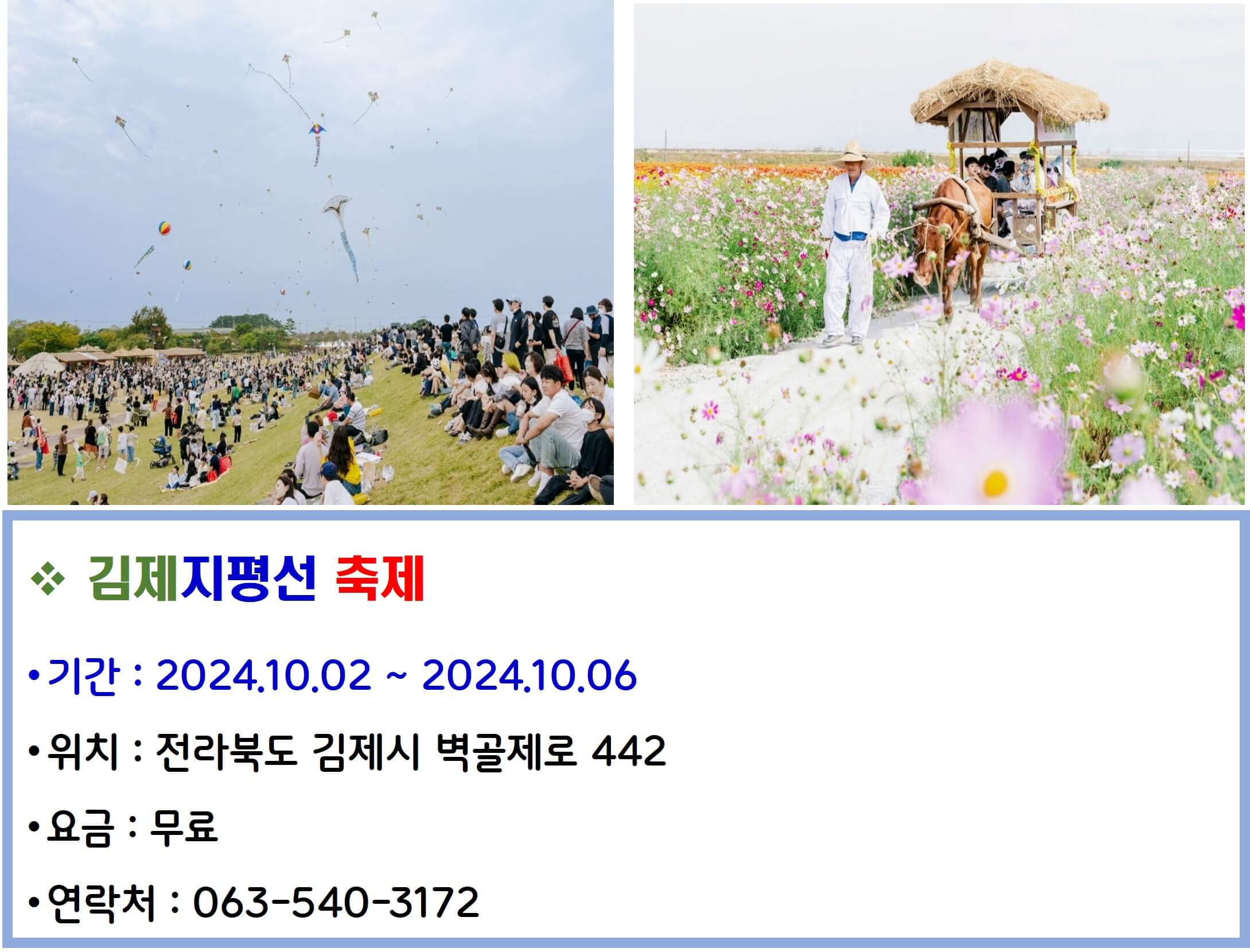 김제지평선 축제