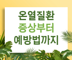 폭염주의보! 온열질환 증상부터 예방법까지 완벽 정복 가이드