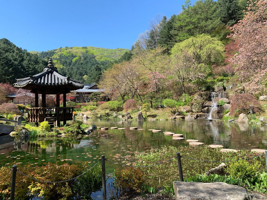 옥천 가볼만한 곳