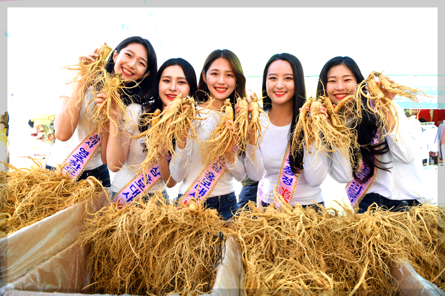 풍기인삼축제