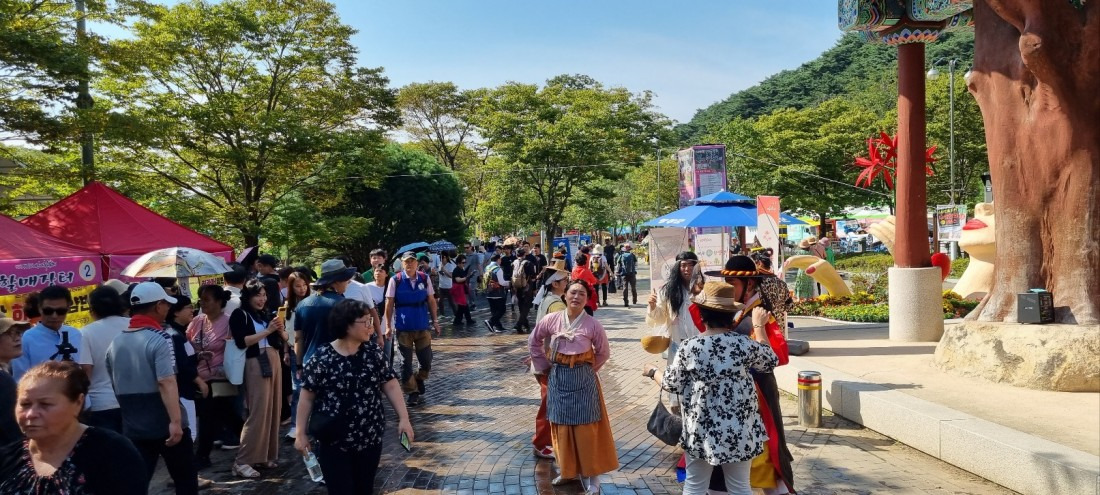 2025 영광불갑산상사화축제&amp;#44; 붉은 꽃무릇의 향연! 