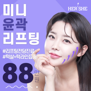 미니 리프팅 가격