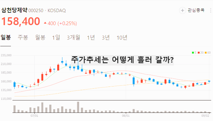 위고비 관련주 대장주 TOP10