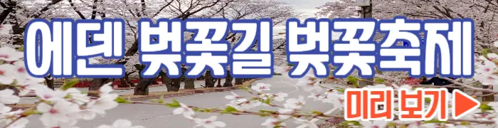 에덴 벚꽃길 벚꽃축제 보기_1