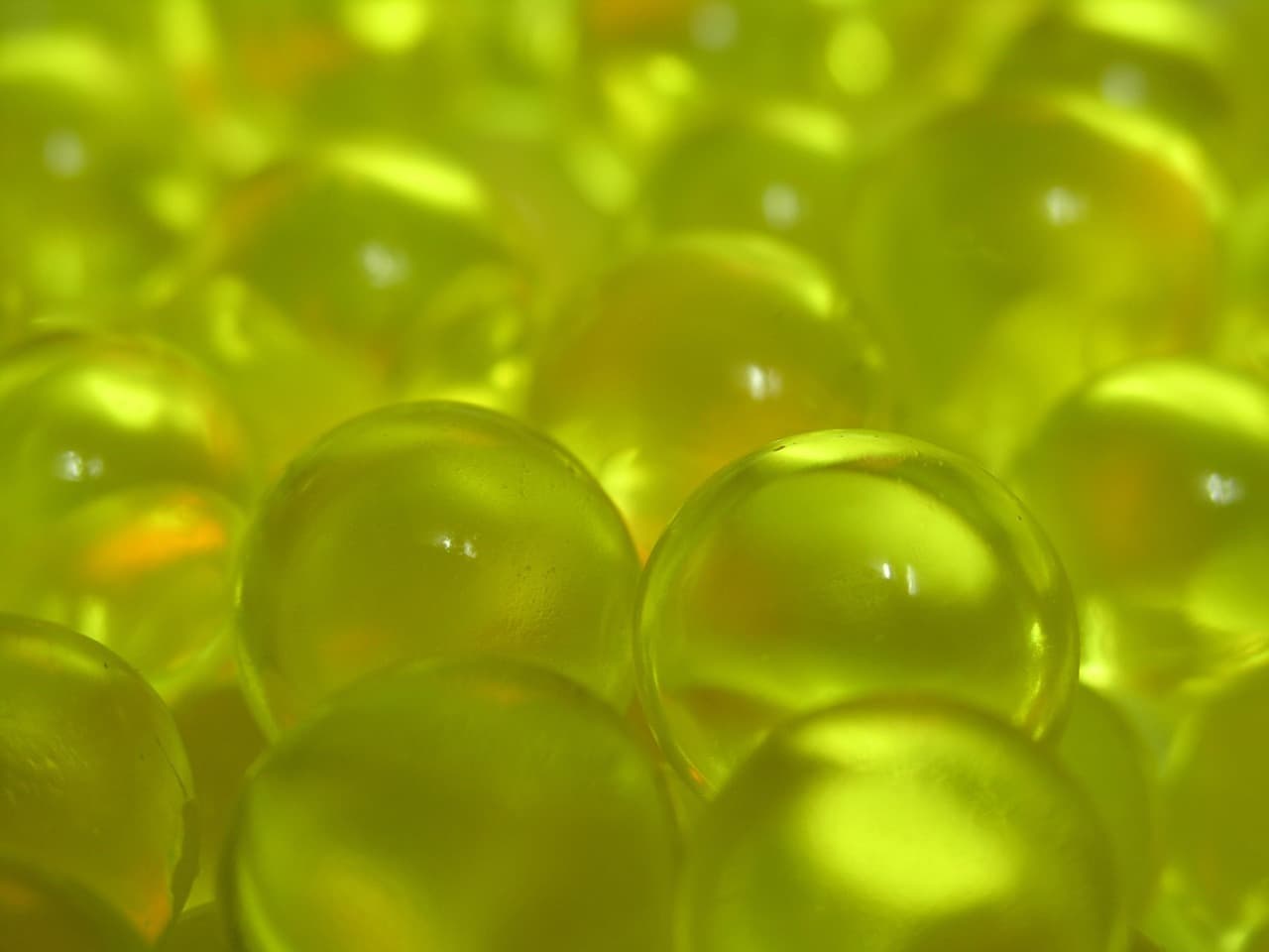 지속 가능한 미래 소재, 젤라틴 기반 대체섬유의 혁신과 의료 분야 활용