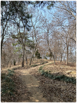 떼구르르 솔방울숲
