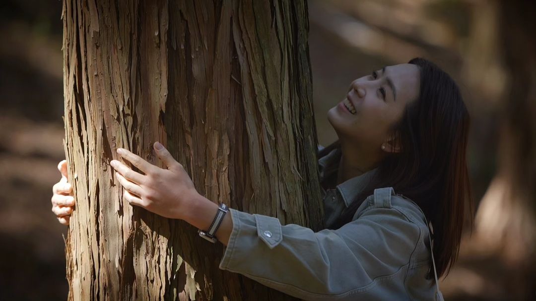 이지애 아나운서
