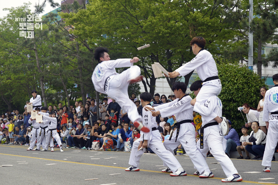 믿고 떠나는 스타 설운도 고향 뱃놀이 축제, 해상 케이블카, 허브농원, 가을 새우, 전어 맛집 여행 코스 가볼만한 곳 추천