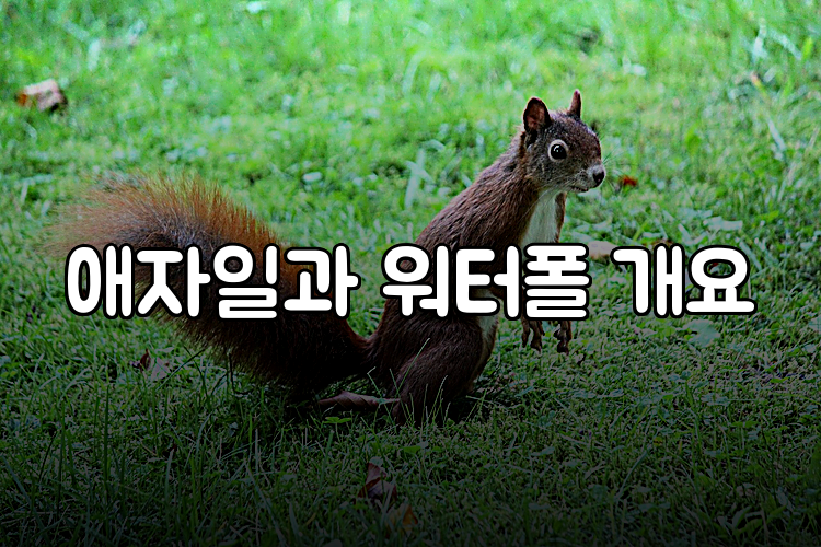 애자일과 워터폴 개요