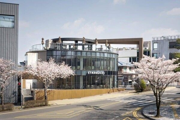 벚꽃보며 커피 마시기 좋은 스타벅스 벚꽃 매장들 소개