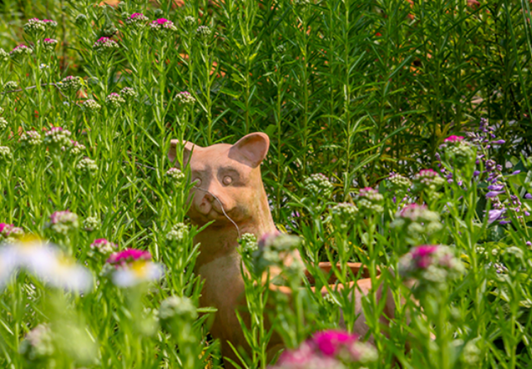 팜카밀레 허브농원
