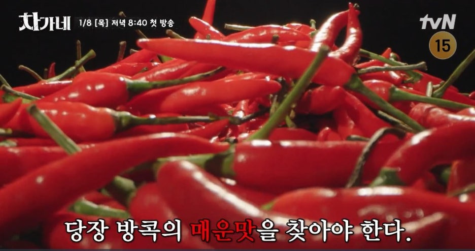 차가네 기본정보 tvN 예능 OTT 방송시간, 출연진