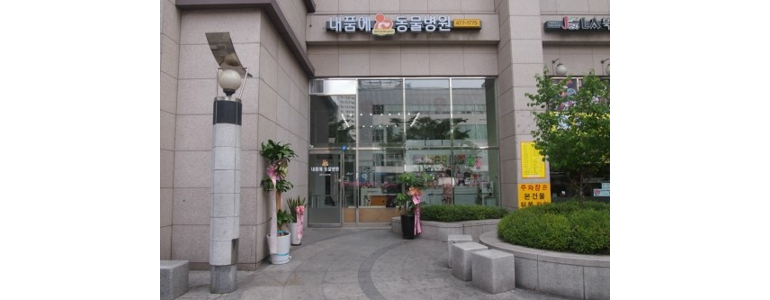 서울 강동구 동물병원