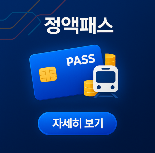 대중교통정액패스