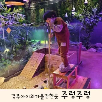 경주 실내 가볼만한곳 베스트 10을 정리_16