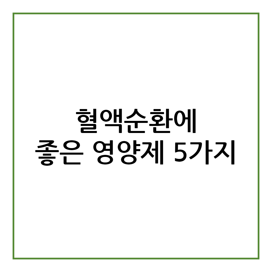 혈액순환에 좋은 영양제