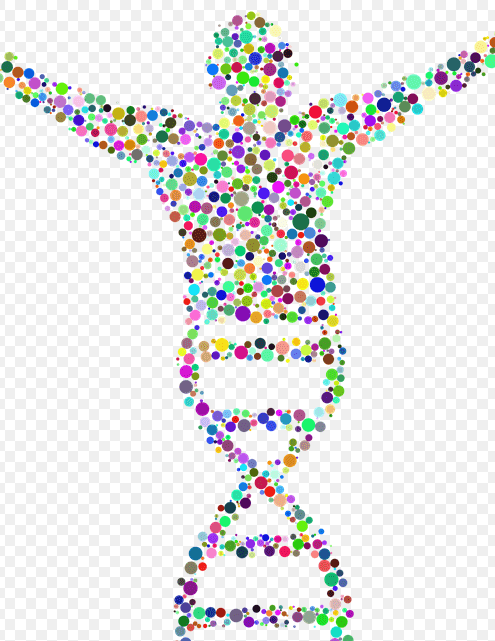 얼굴에 여러 흉터가 보이는 여자 몸에 빨간 점이 생기는 이유에서 얼굴에 흉터가 원인이 될 수 있다