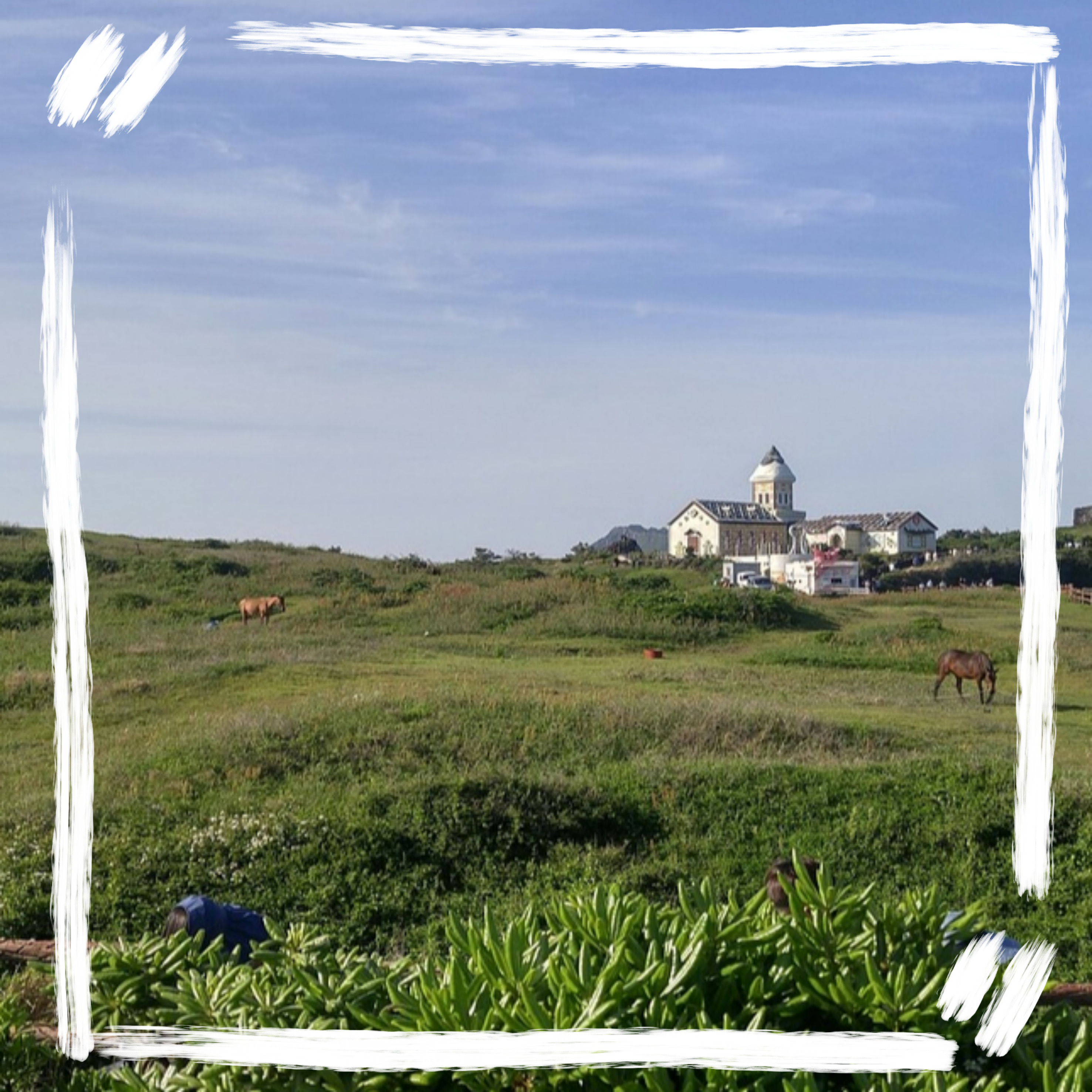 해외 같은 국내 여행지 추천