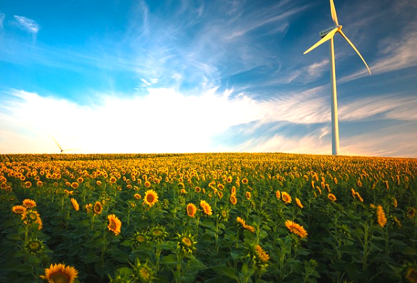 발전을 멈추지 않아야 한다.