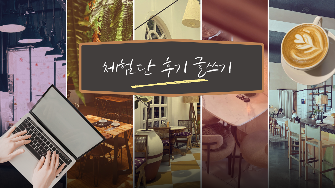 생활비 줄이는 블로그 체험단 후기 글 쓰는 방법, 선정 잘 되는 구조