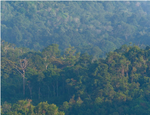 화담숲 모노레일 예약