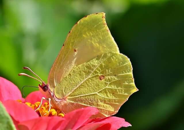 여름방학 체험학습