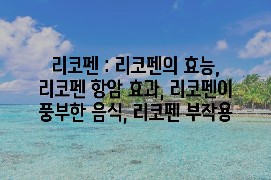 샘플 (72)