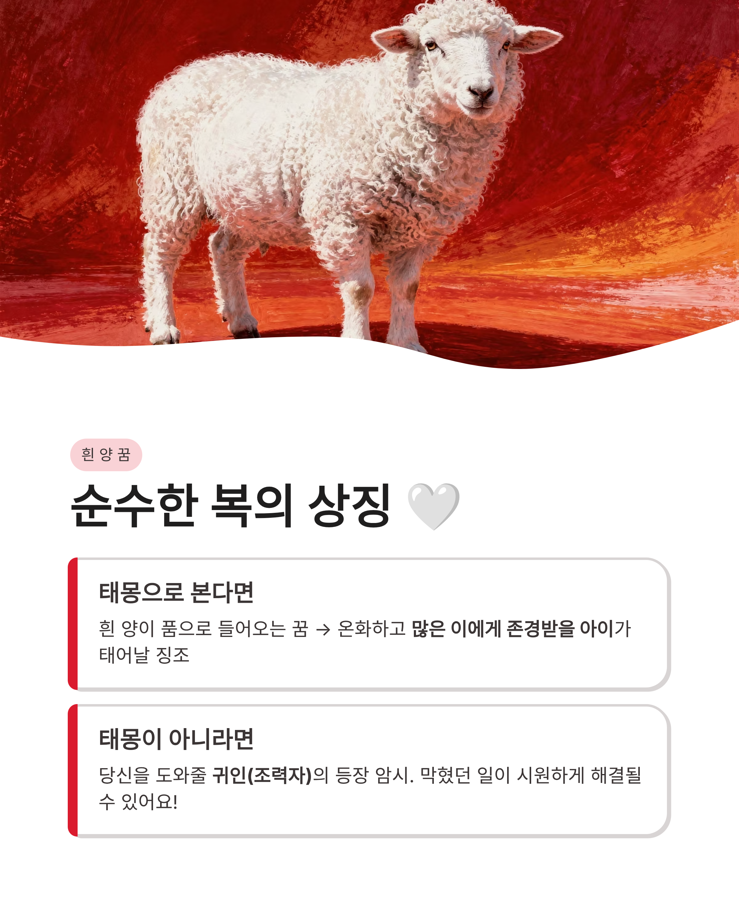 양꿈 해몽 흰 양 태몽부터 새끼 양떼까지 상황별 완벽 풀이! 재물운이 넝쿨째 굴러온다고?