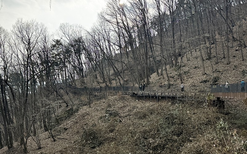 원주 소금산 그랜드밸리 출렁다리 케이블카 요금·코스·주차 완벽 정리 -