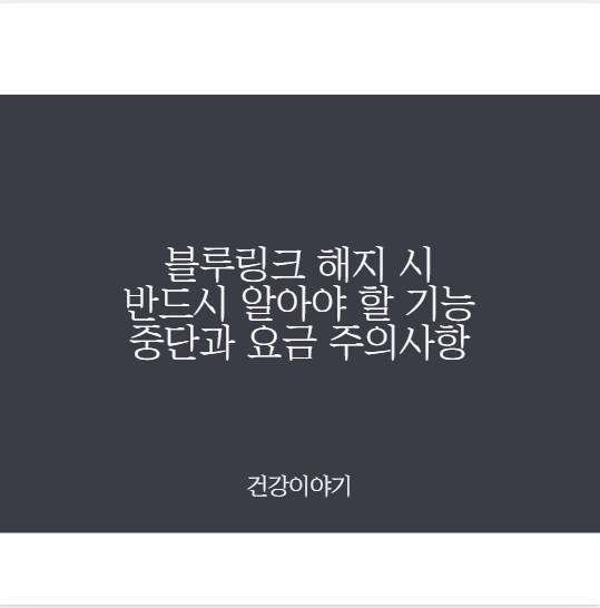 블루링크 해지 시 반드시 알아야 할 기능 중단과 요금 주의사항